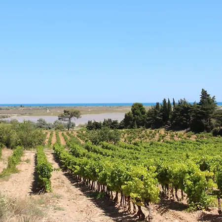 Le Neptune-1 By Interhome Apartment Saint-Pierre-la-Mer (Aude)